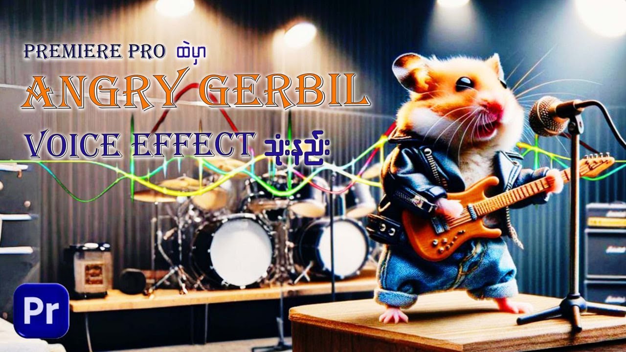 Angry gerbil audio effect သုံးနည်း - Angry gerbil audio effect in Premier pro