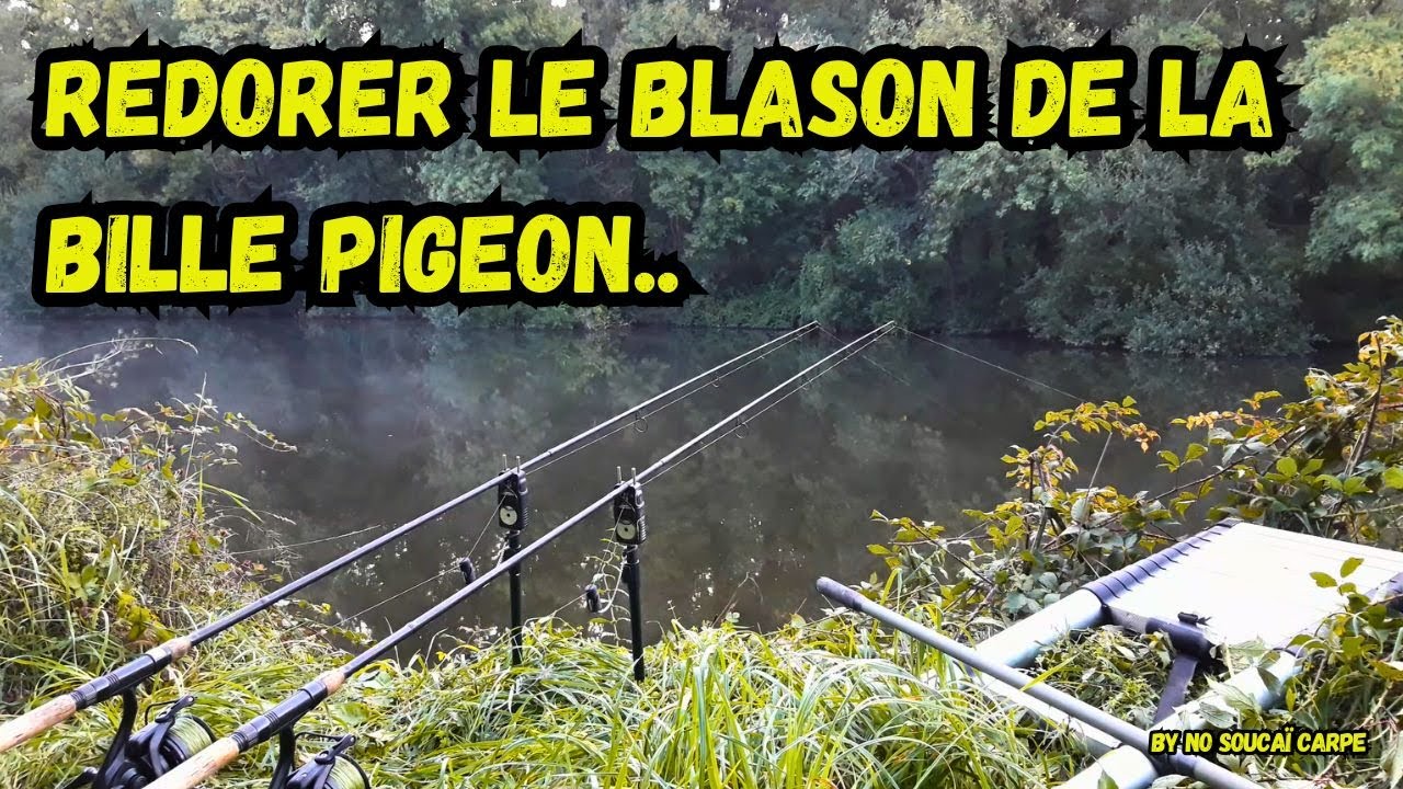 Redorer le blason de la bille pigeon..