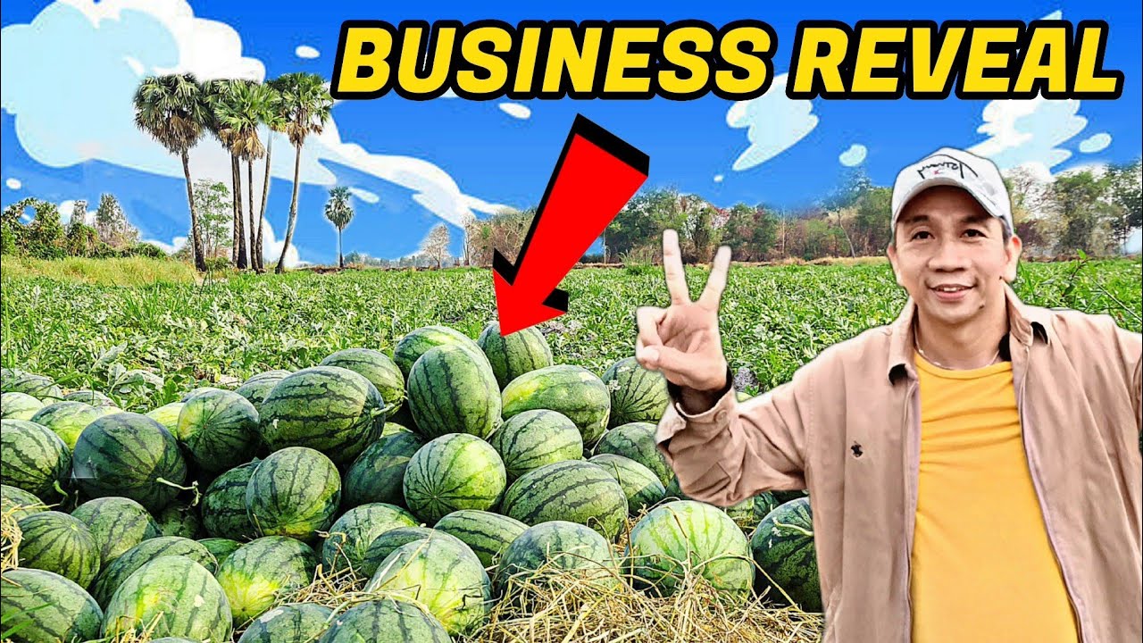 ITO ANG ISA MGA BUSINESS NI DADDY FRANKIE.