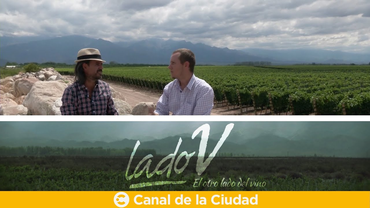 El Valle de Uco y su flamante Paraje Altamira, cuna de los Malbec del futuro, en Lado V