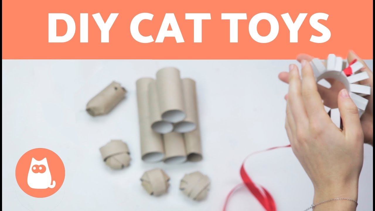 4 DIY Cat Toys Made with Toilet Rolls