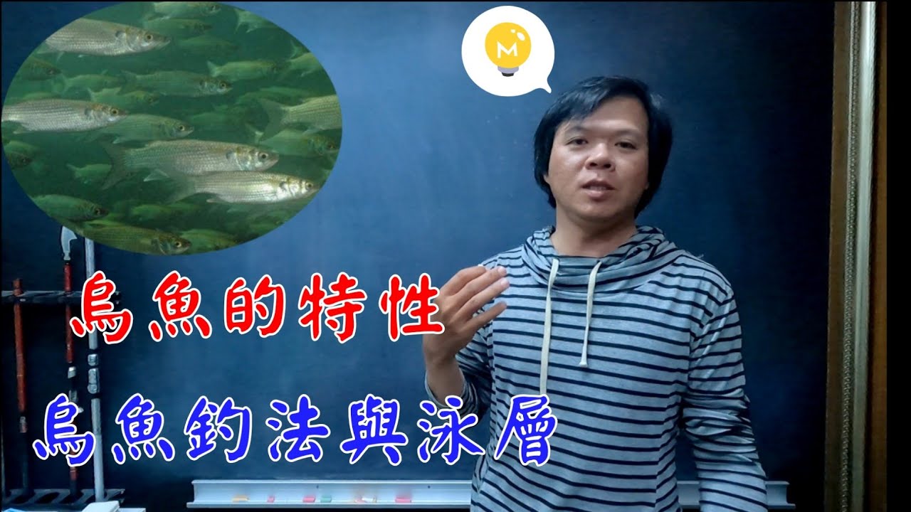 釣友問：烏魚怎釣？釣多深？用甚asa?