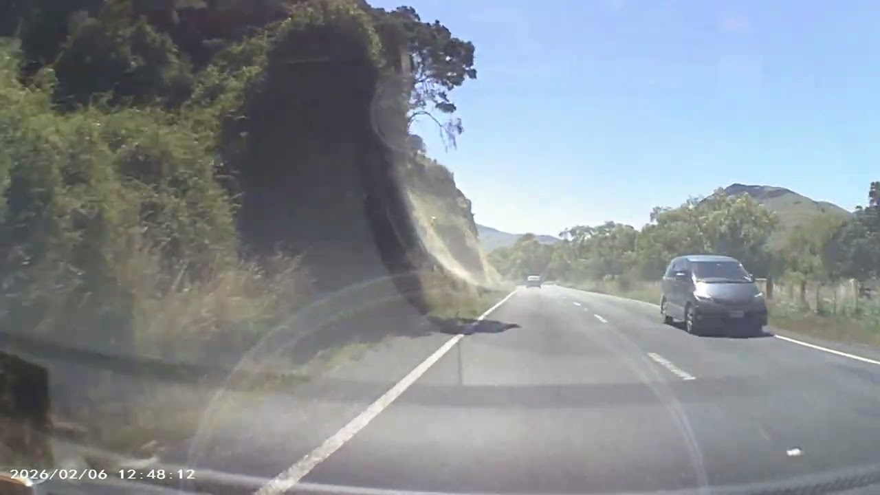 Christchurch to Akaroa part 10 of 18
