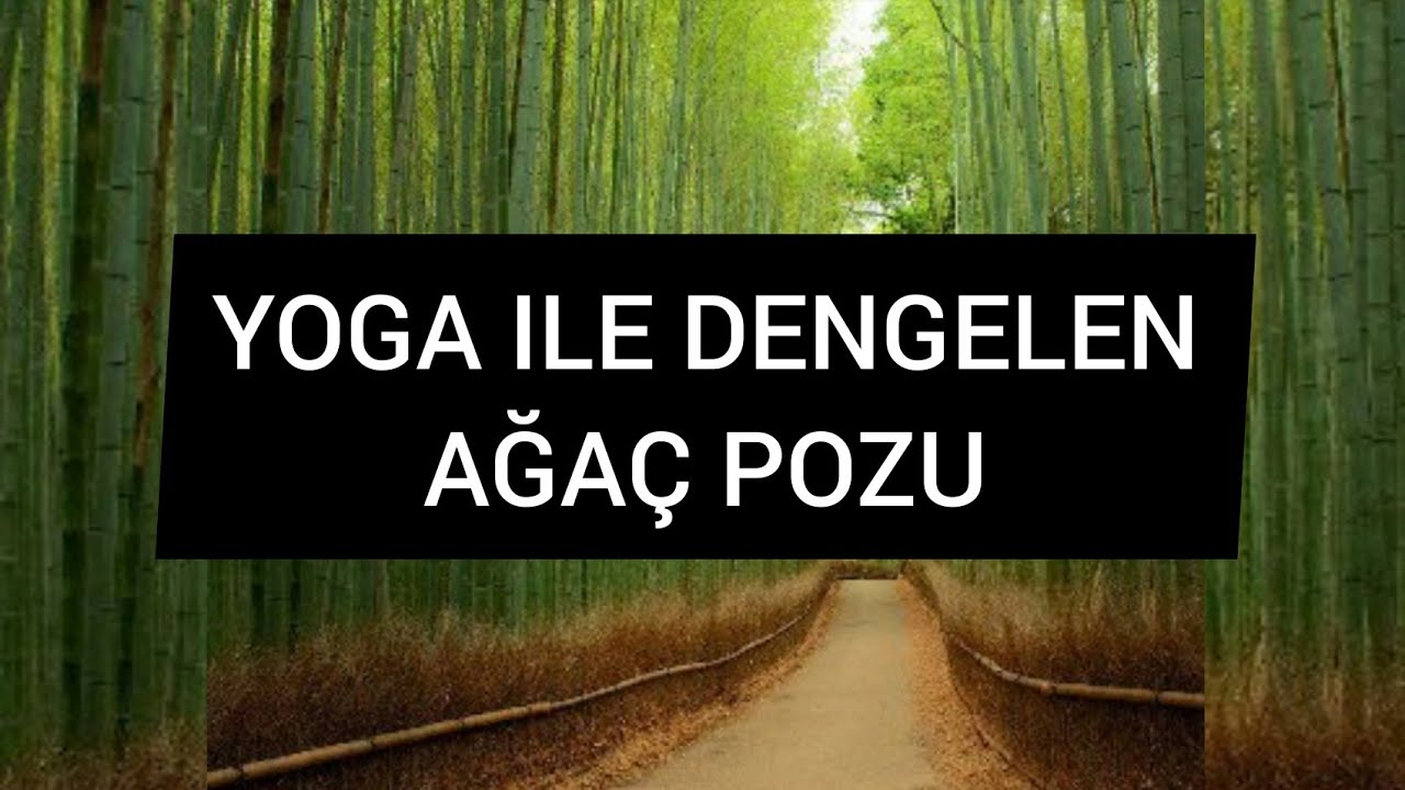 Ağa&ccedil; Pozu Vrksasana l Tree Pose Egzersizleri l Sevim Alko&ccedil; ile Yoga Terapi