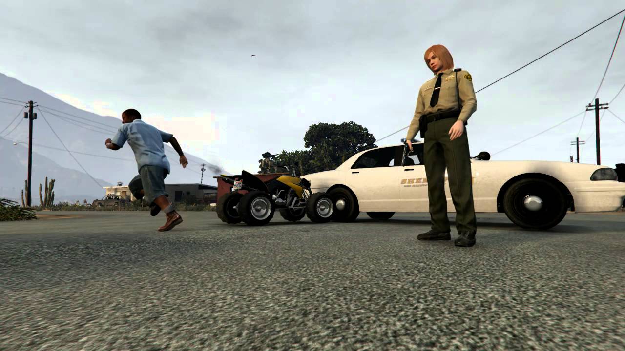 You Dont Mess With Female Sheriff
