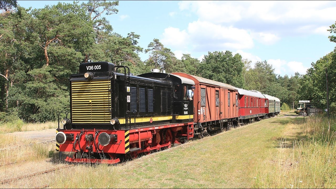 Sonderzug mit V36 005 Lüneburg - Bleckede