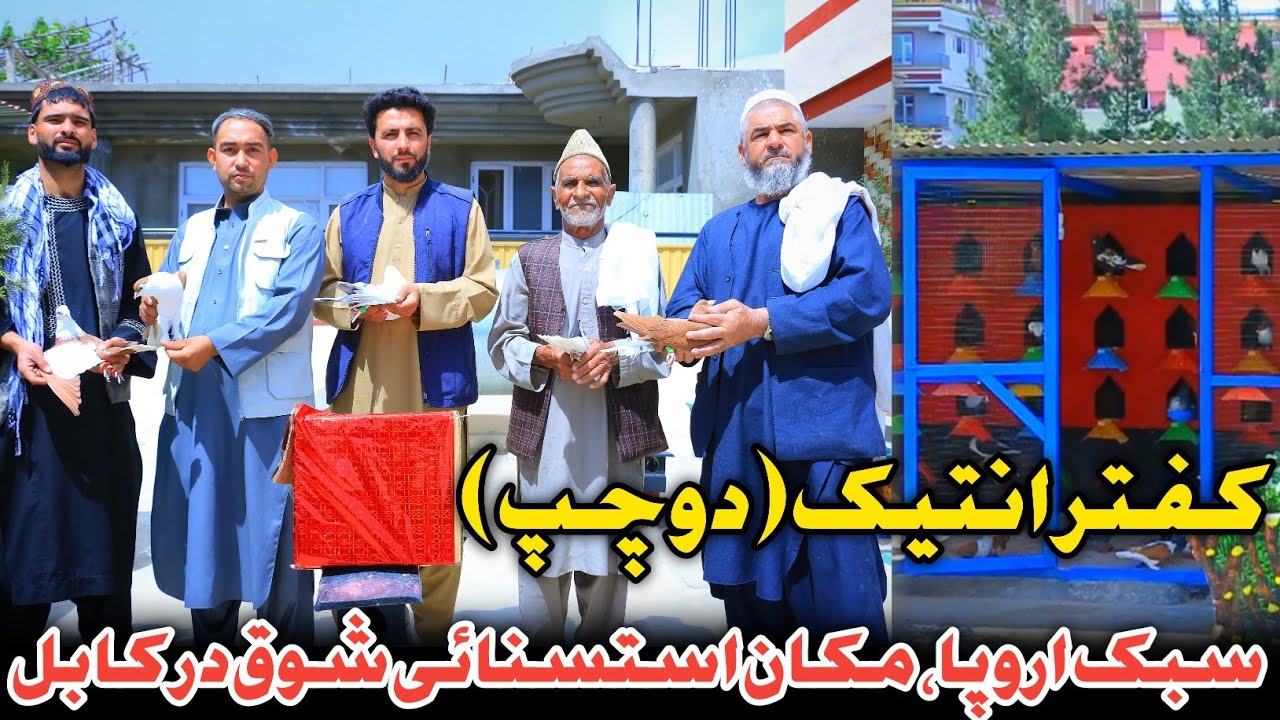 کفتر انتیک#دوچپ|مکان استسنائی شوق کفتر در کابل|A  |Unique Spot for Pigeon Enthusiasts in Kabul|#دوچپ