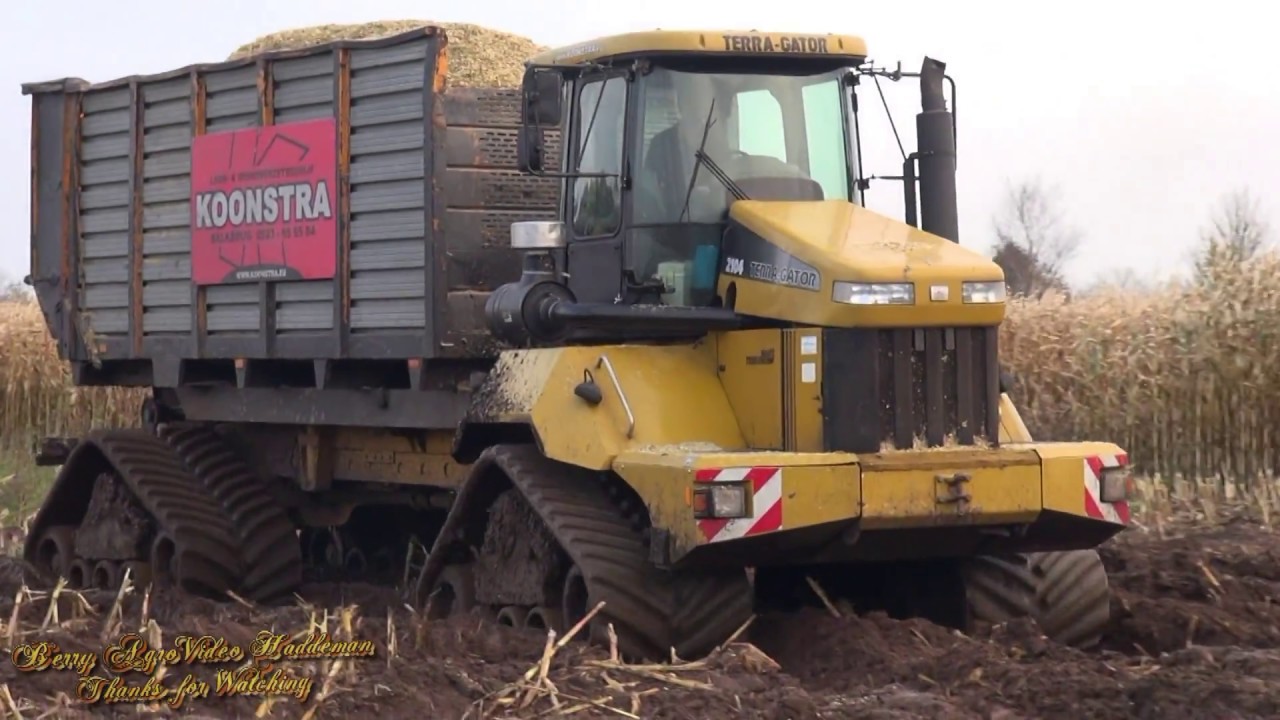 Maisoogst 2017 - Claas Jaguar 870 - Challenger Terra Gator 2104 on tracks | Extreme Mud | Koonstra