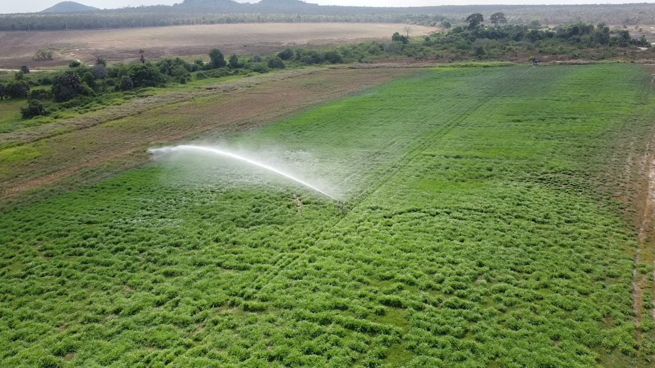 Irrigation, Kirisu Dairy Farm, Cambodia