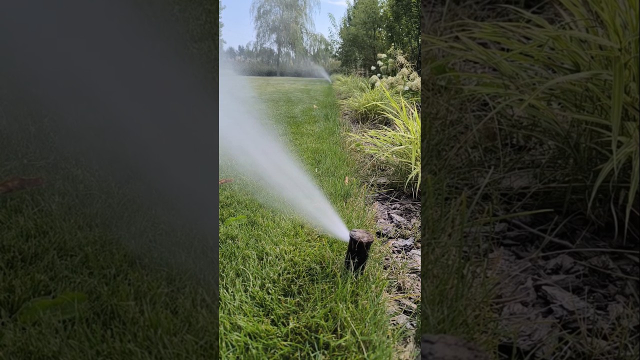 Osuszanie systemu nawadniania po sezonie. System nawadniania przygotowany na zimę. 