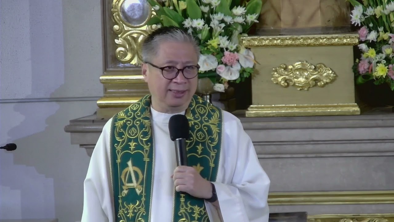MOST OF OUR SINS ARE FROM WHAT WE SAY - Homily by Fr. Dave Concepcion on July 9, 2022