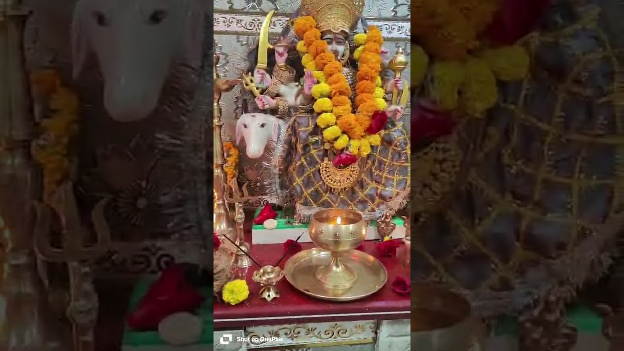 દર્શન કરો મારી મોરબી ની મેલડી મારી ધક્કા વાળી મેલડી ના માં મેલડી તમારા બધાની આશાપુરી કરે લાઈક લાઈક 