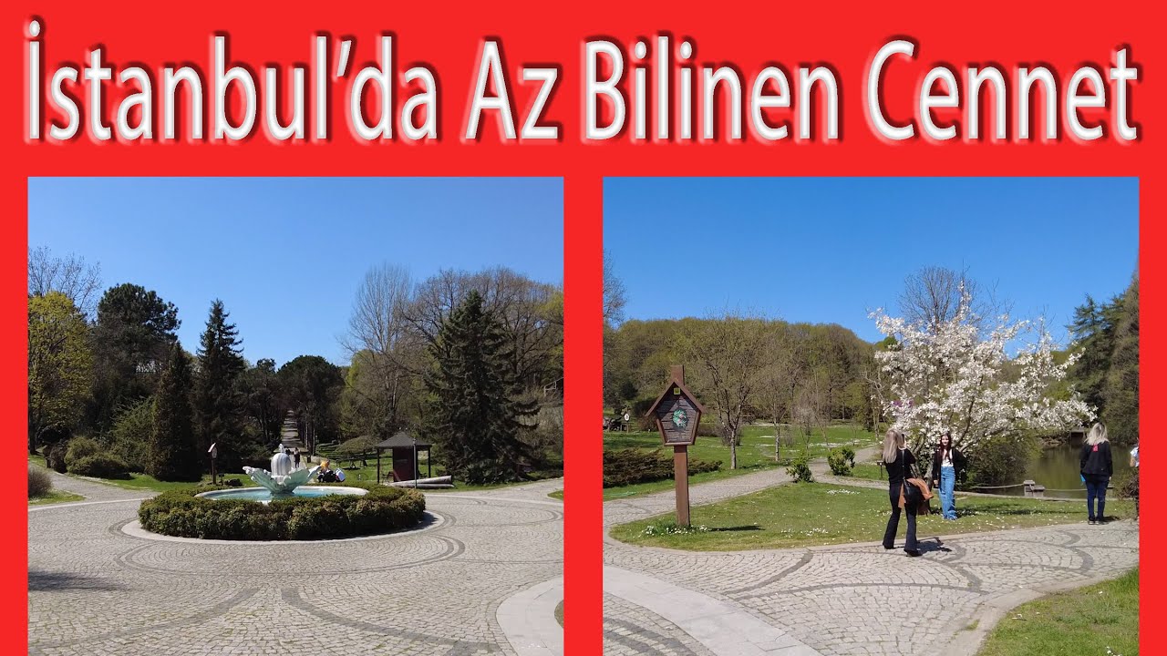 Ataturk Arboretumu | 2022 İlkbahar 🌲🌼🥰