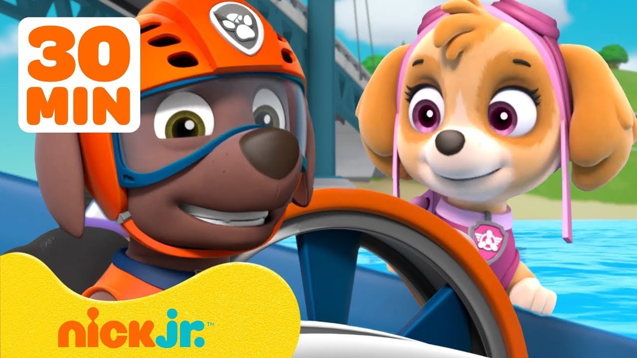 PAW Patrol: Salvataggi in acqua #2 con Zuma e Skye 🏄‍♂️