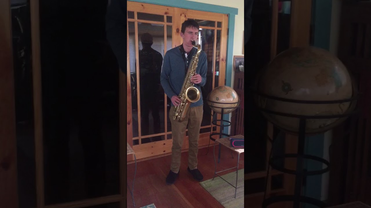 Dolphin shoals—tenor sax cover