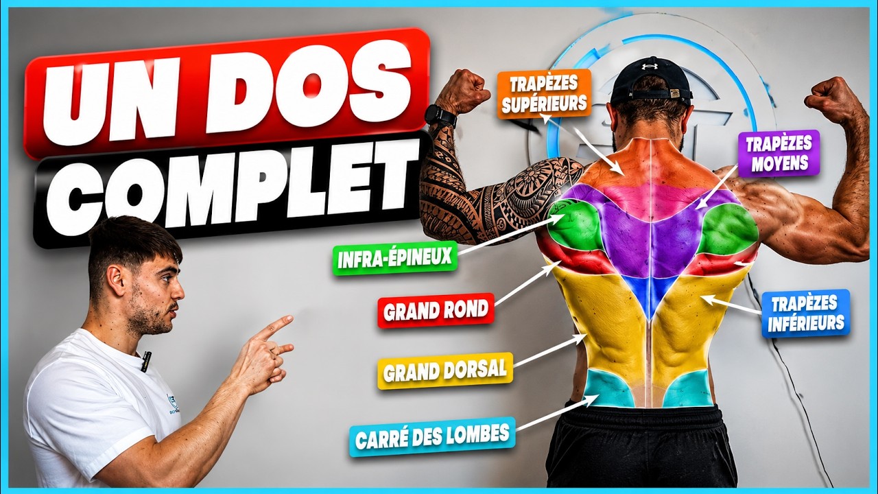 🗒️ Guide : muscler son dos (théorie + pratique)