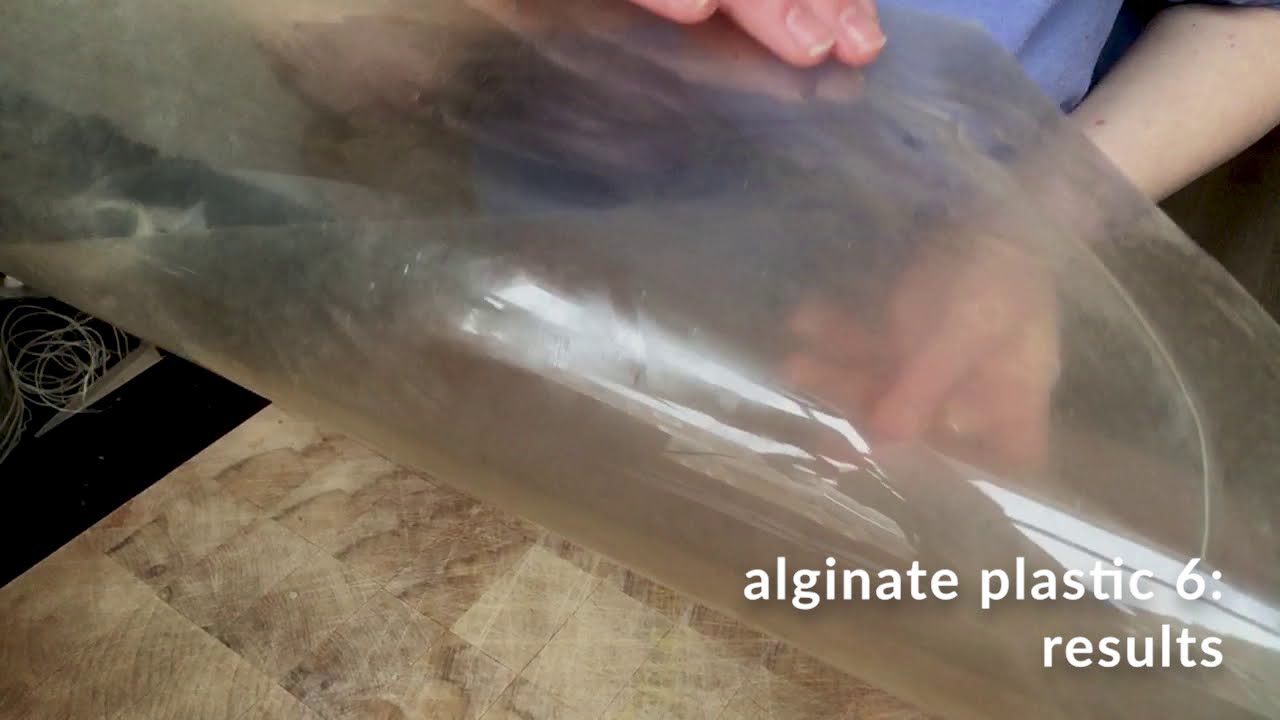 alginate 06 results