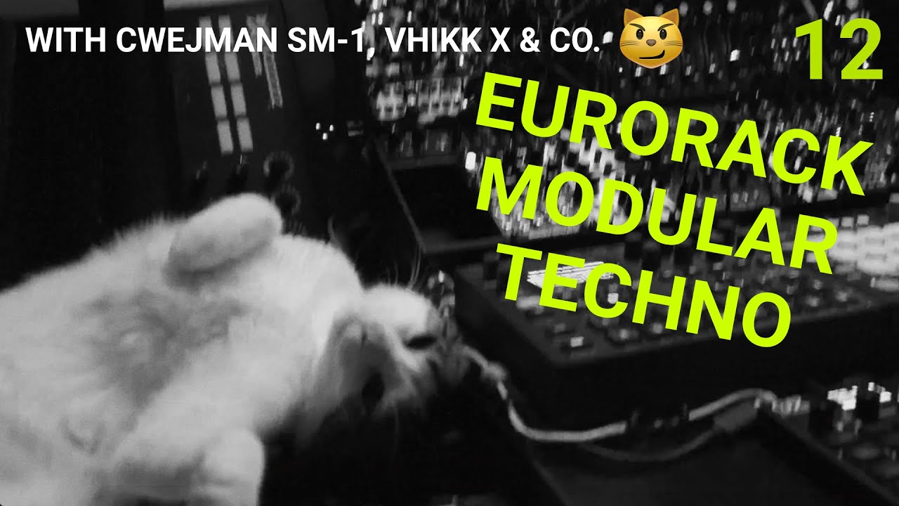 EPISODE 12: EURORACK MODULAR TECHNO WITH CWEJMAN SM-1, VHIKK X & CO. 😼