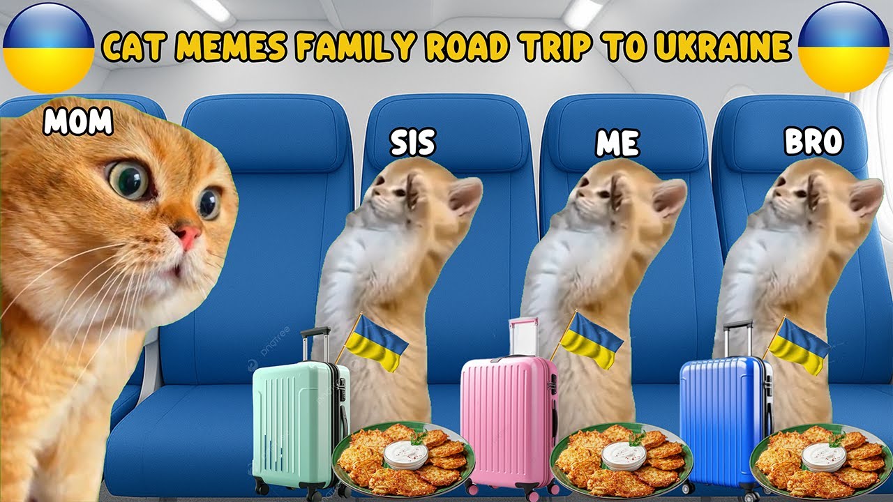 CAT MEMES FAMILY ROAD TRIP TO UKRAINE