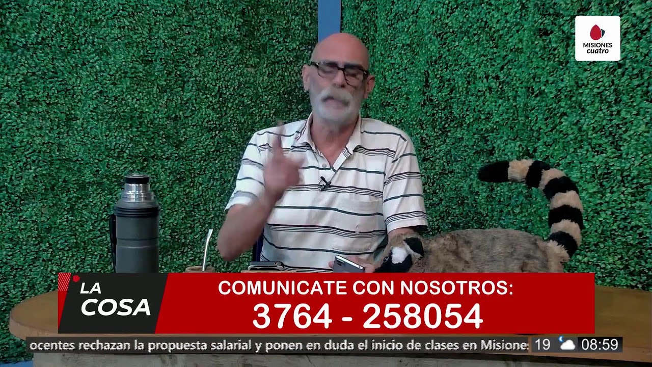 [EN VIVO] Misiones Cuatro, todas las noticias de Misiones, Argentina y el Mundo