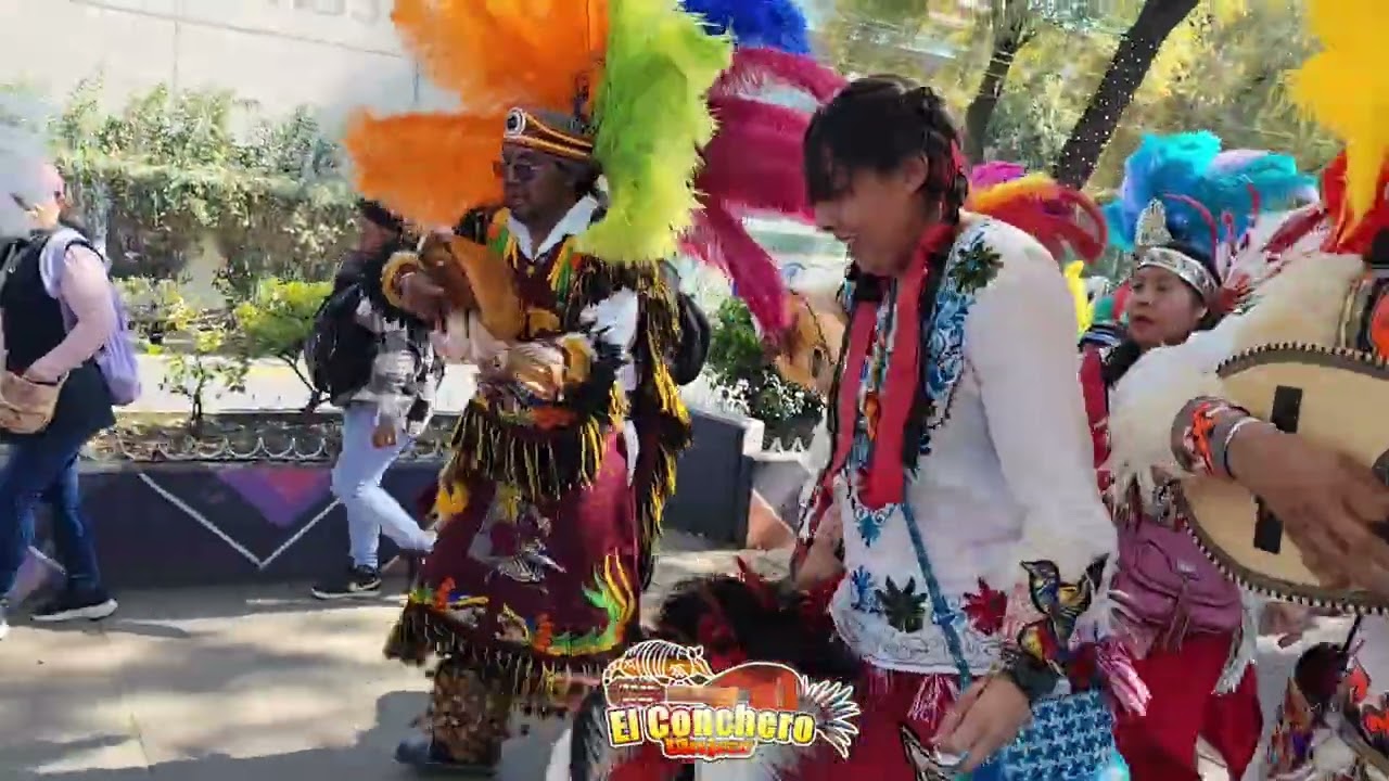 Danza de Xipe- Peregrinación de las Danzas, Tlatelolco-La Basílica de Guadalupe 2025