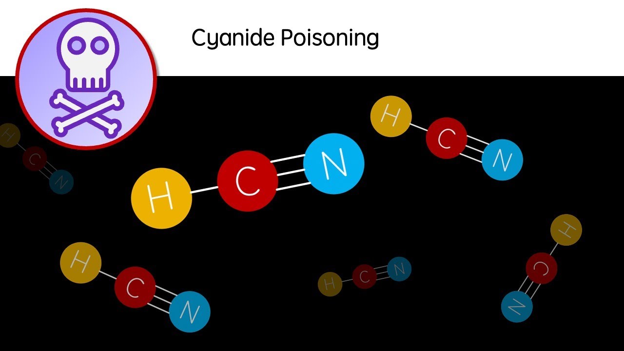 Cyanide Poisoning - HCN: a deadly poison | Biology revision video - GCSE A Level University