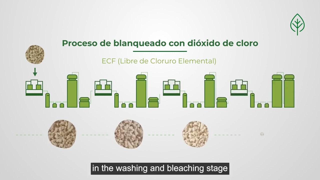 PROCESO DE PRODUCCIÓN DE LA CELULOSA  | PARACEL (SUBTITULADO EN INGLÉS)