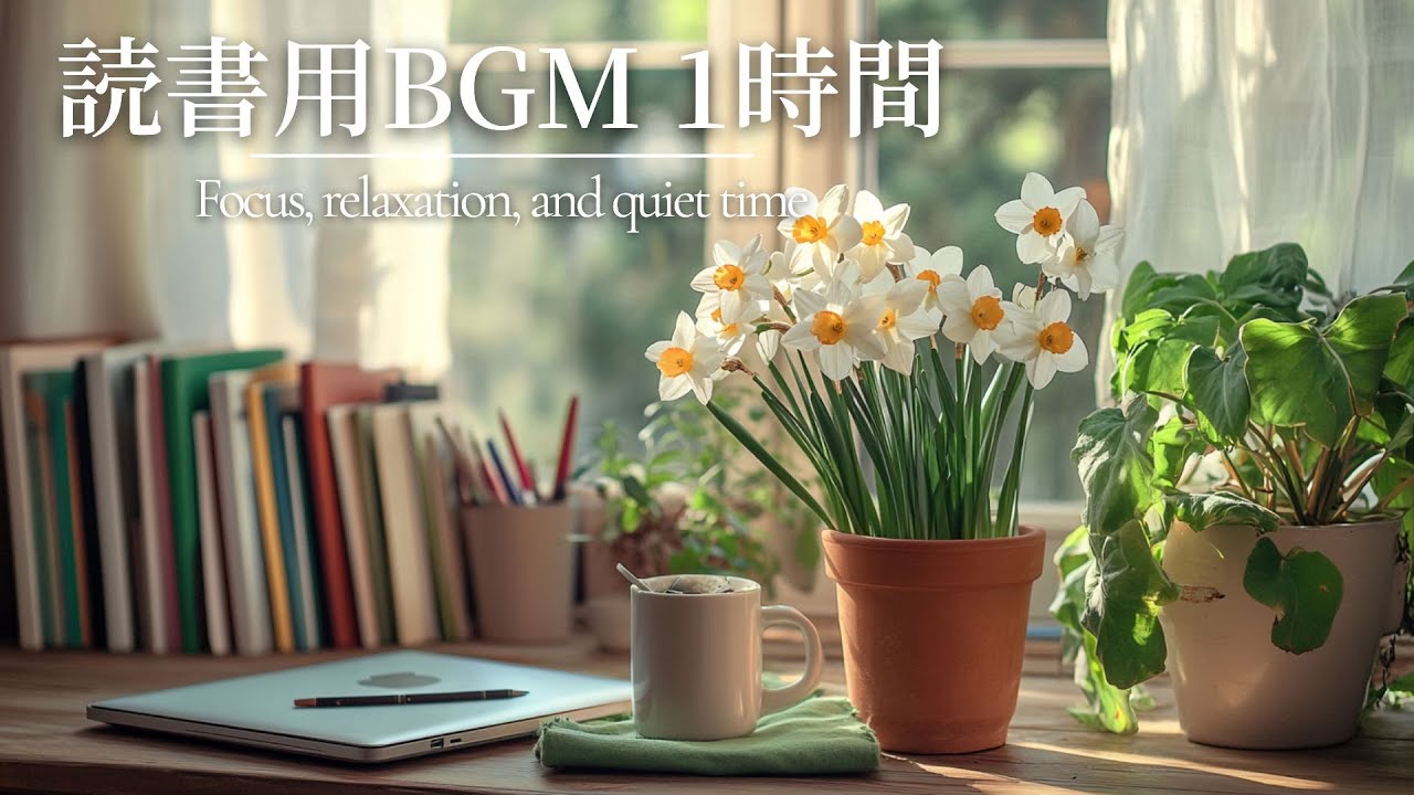【作業用BGM｜読書用BGM 1時間】心が整う癒しのピアノ｜集中・リラックス・静かな時間