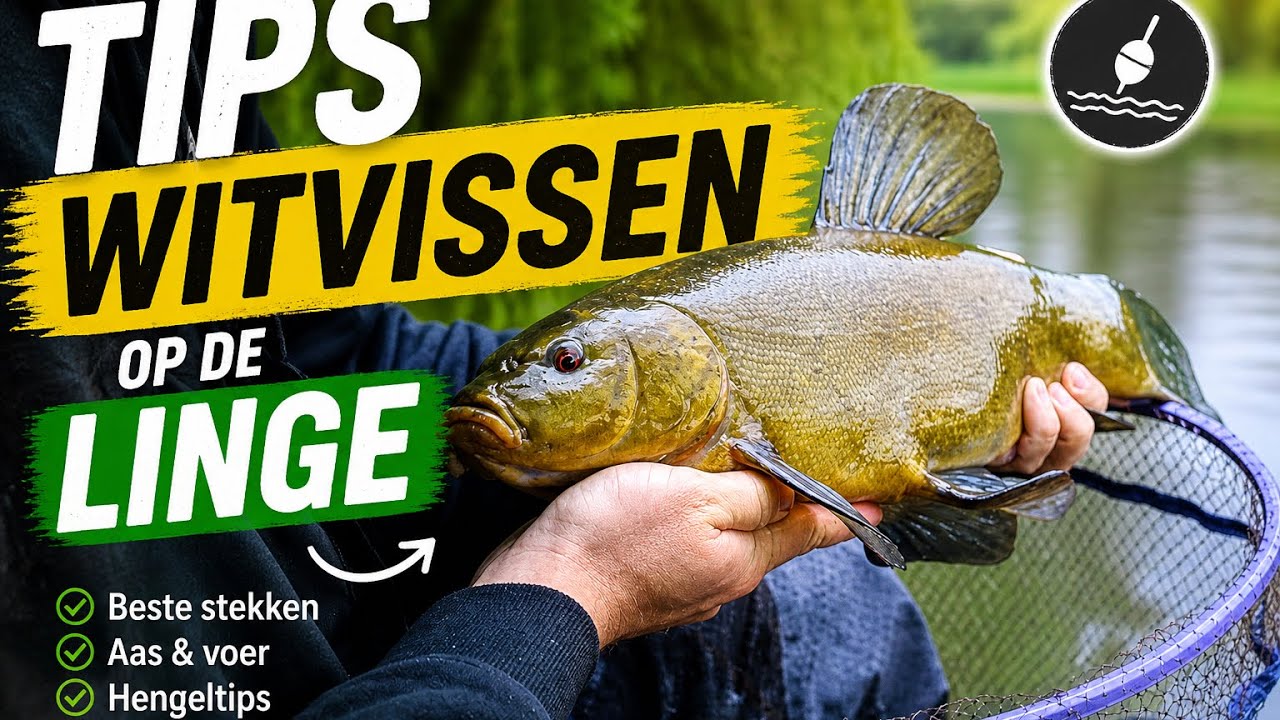 Witvissen op de Linge !