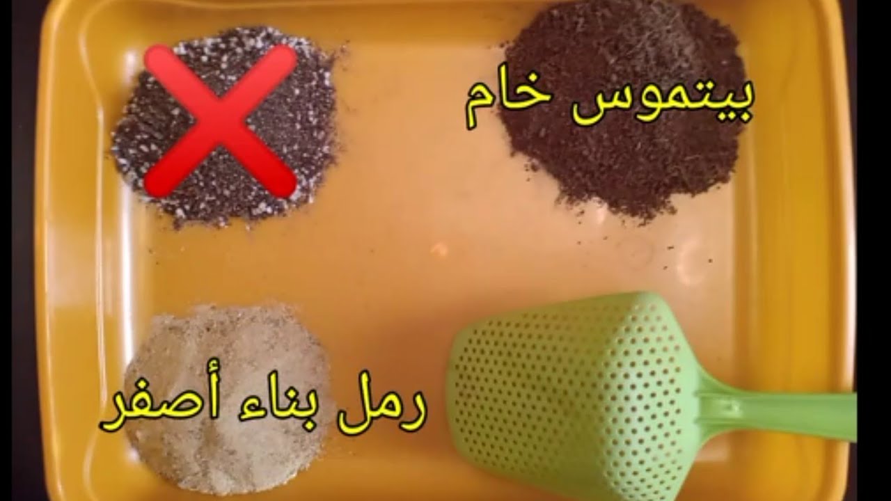 التربه المناسبه لبيت السلاحف وطريقة التعقيم والتجهيز