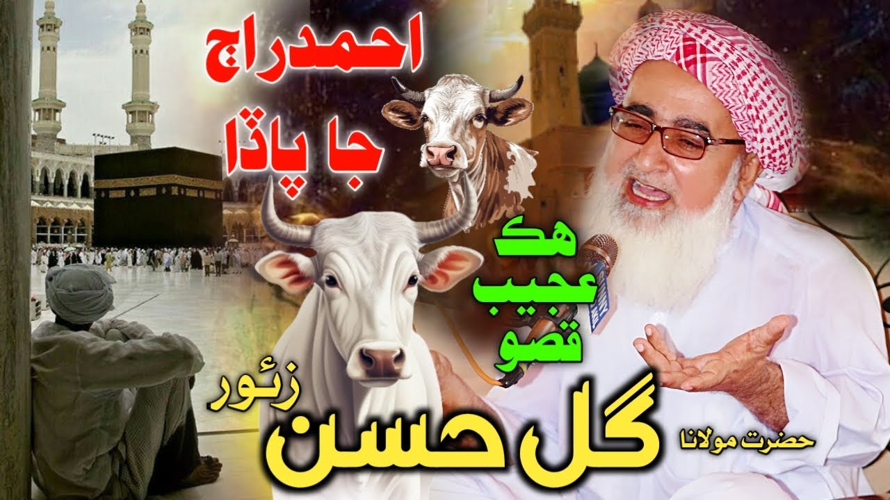 Molana Gul Hassan Zour | Halani 2024 | Pervez Palh Official