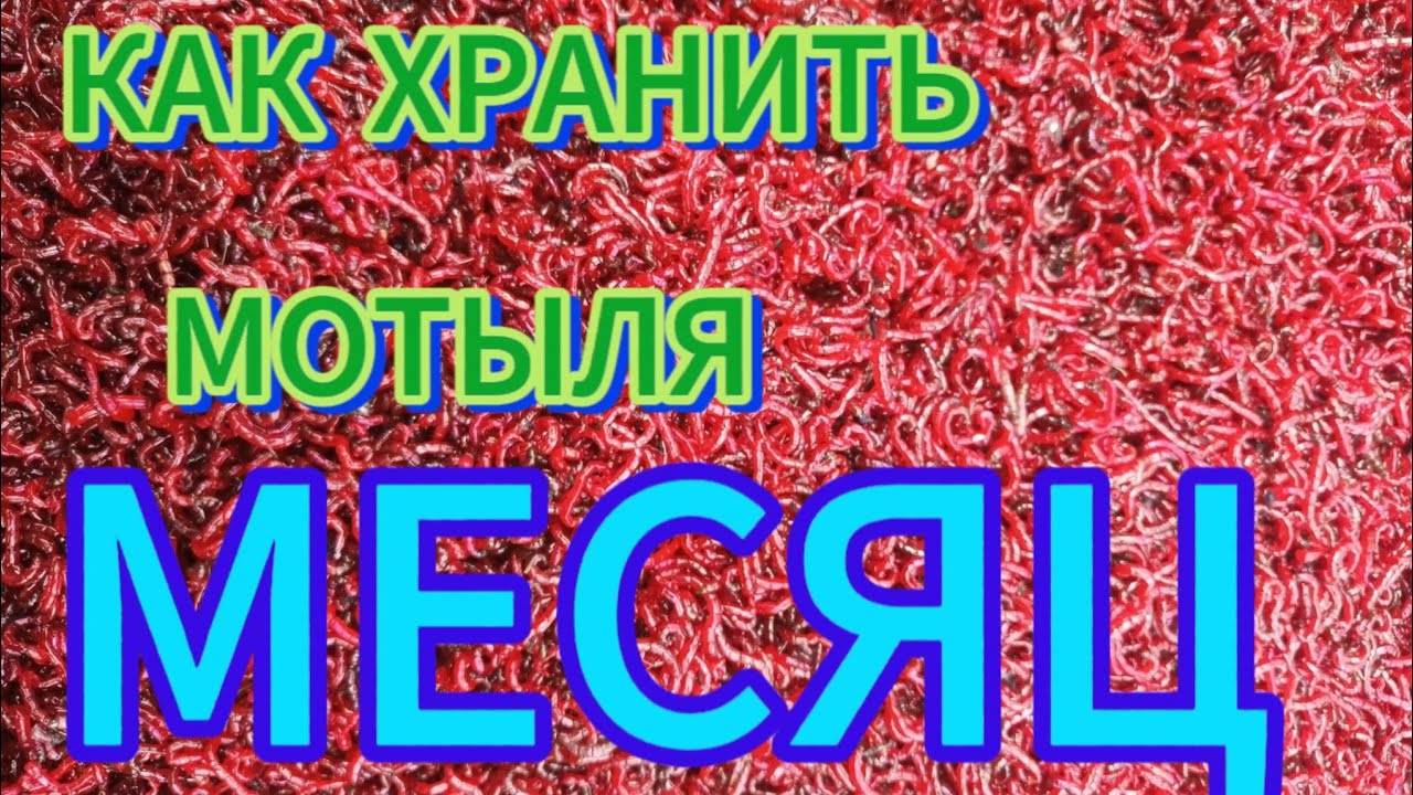 ВСЕГДА СВЕЖИЙ МОТЫЛЬ🪱🪱🪱ХРАНЕНИЕ МОТЫЛЯ БОЛЬШЕ МЕСЯЦА‼️ЛУЧШИЙ СПОСОБ ХРАНЕНИЯ‼️