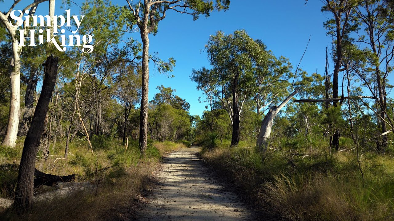 Exploring A Bush Hiking Trail | J C Trotter Little Loop Walk In 4k