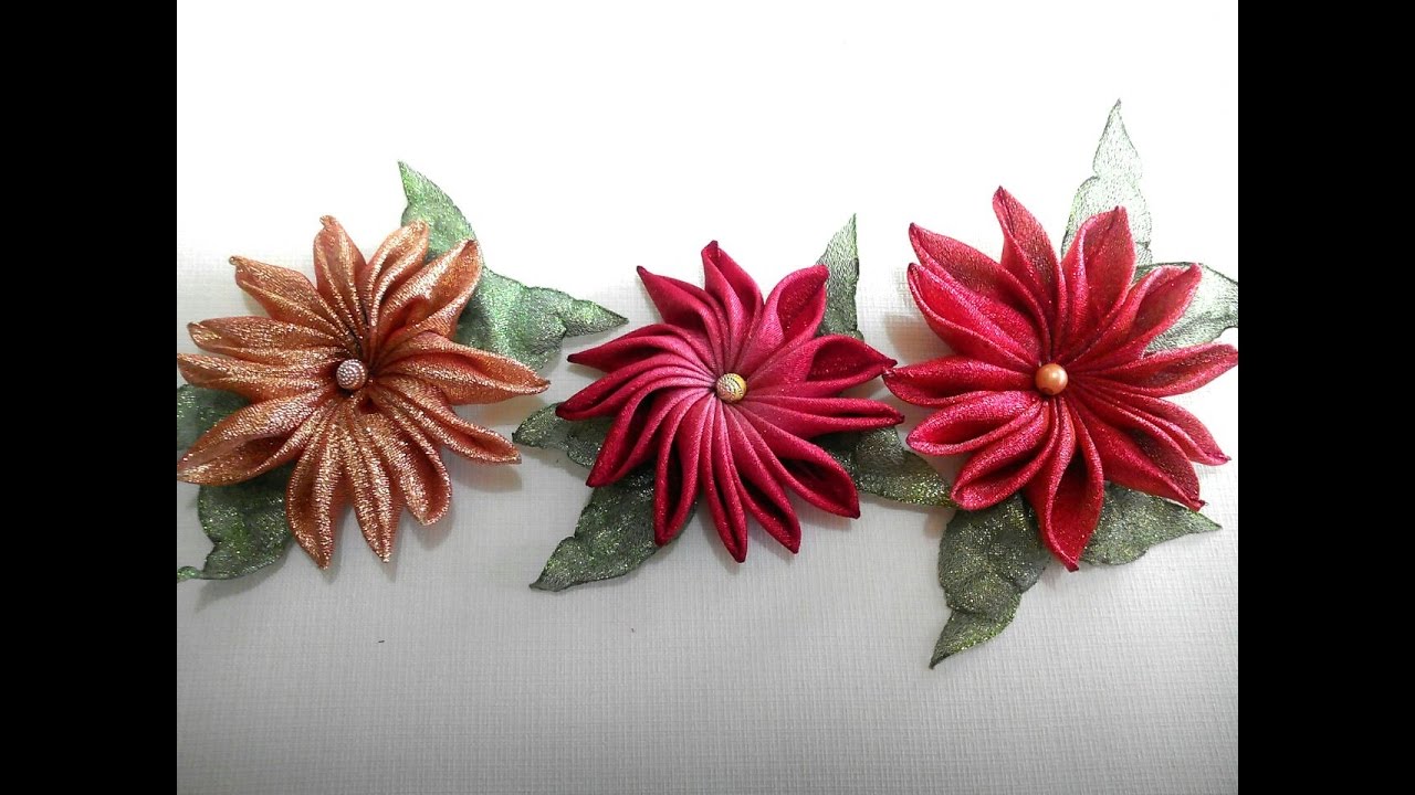 NOCHEBUENA UÑA DE GATO (Cat's claw poinsettia)