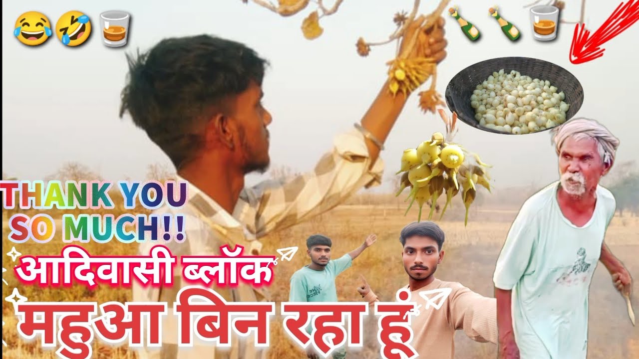अपने खेतों का  महु आ बिन रहा हूं आदिवासी ब्लॉक aadivasi video Mantar Bhabar vlog 👌😍🙏🙏