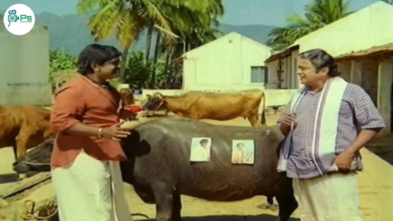 என்னடா எருமை மாட்டுக்கு செவப்பு பெயிண்ட் அடிக்கற மாட்ட செவப்பு ஆகறாயா || V.K ராமசாமி காமெடி🤣