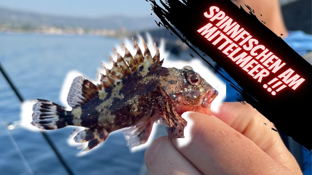 Angeln in Italien am Mittelmeer - Teil 2