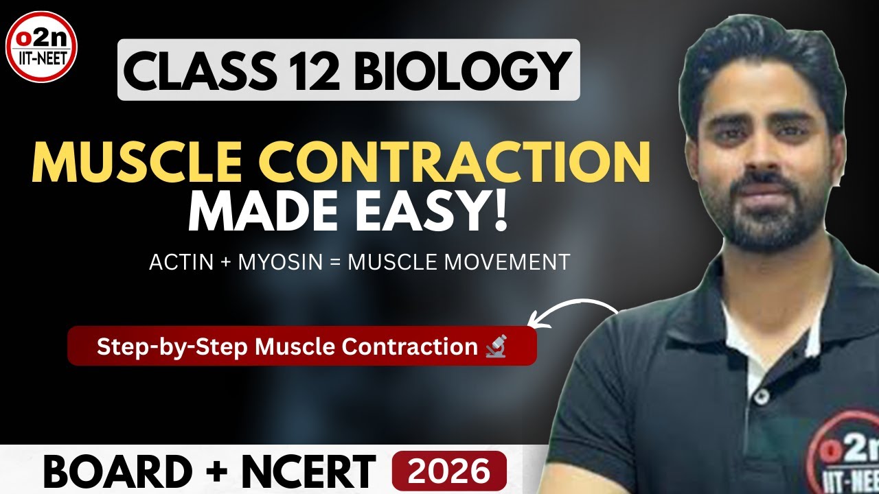 How Muscles Contract — Actin & Myosin Interaction (Contractile Proteins Explained)