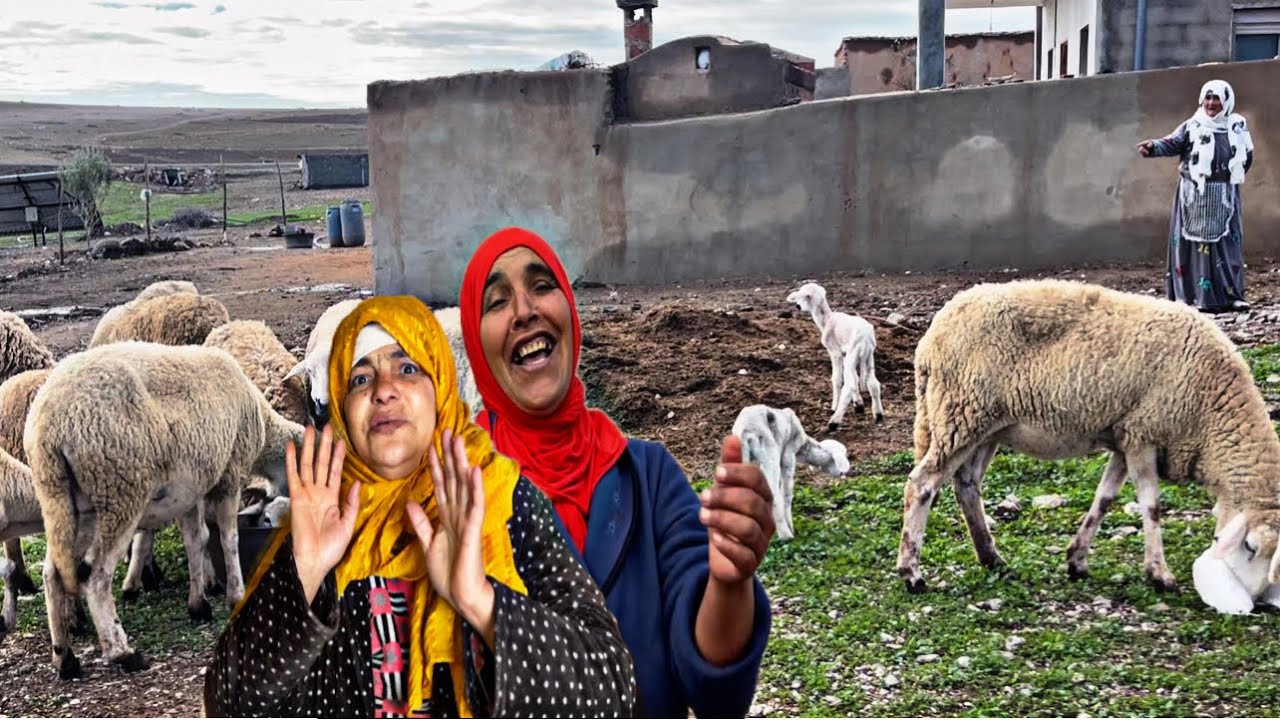 اجواء البادية/ مشي لخاطري هدشي لي خلاني نغيب عليكم🙏🏻نوال فاش كتصوم😂كلشي على مي مليكة لموت ضحك😂🤣