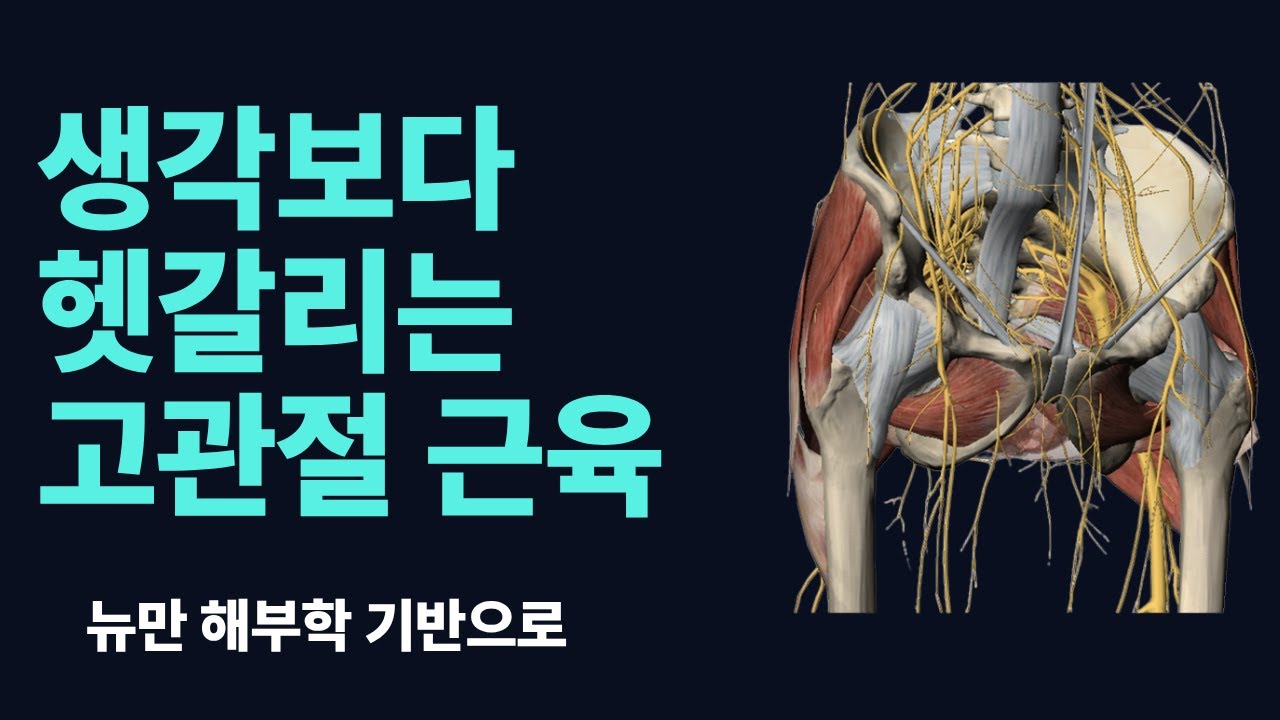알면서도 헷갈리는 고관절 근육 Part2