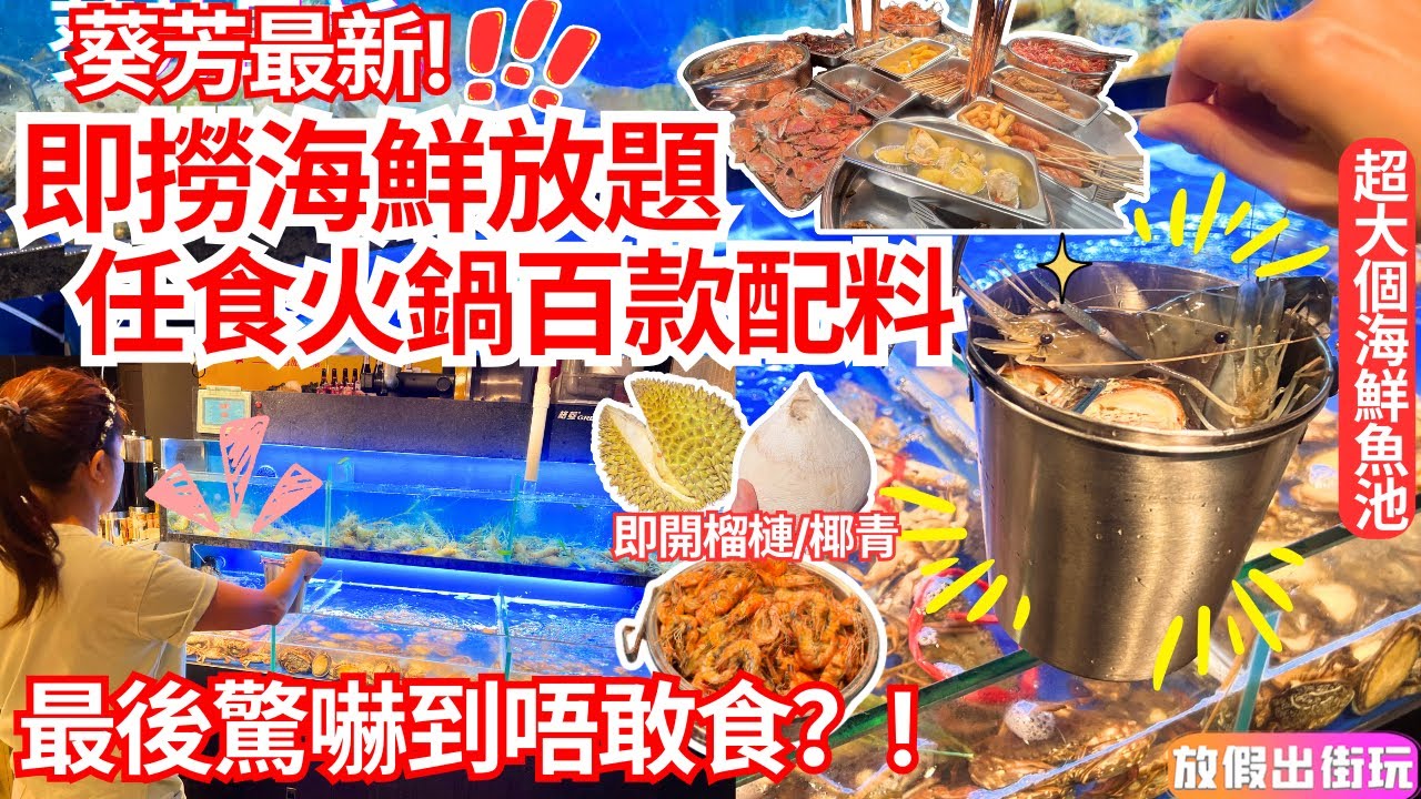 葵芳即撈海鮮火鍋放題中伏記？✨任食大頭蝦🦐三點蟹🦀活鮑魚🔥蜆！百款火鍋配料➕豐富熱食區 即開榴槤椰青/炸雞翼/鹽焗蟹 #葵芳美食 EP87