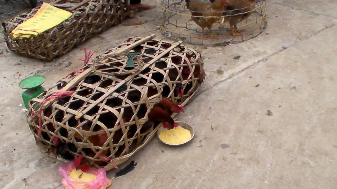 2015-07-26, Bac Ha