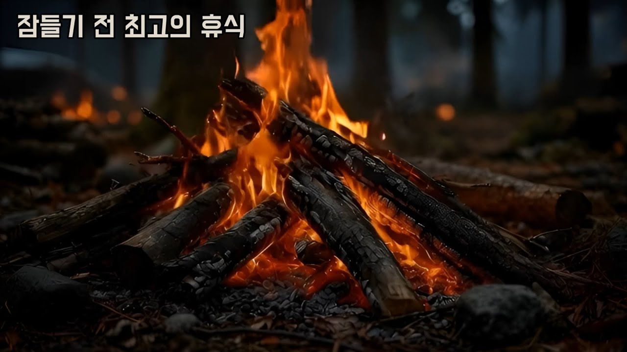 【DLEJ】불멍 3시간 감상 ✦ 모닥불 타는 소리 ✦ 깊은 휴식과 힐링