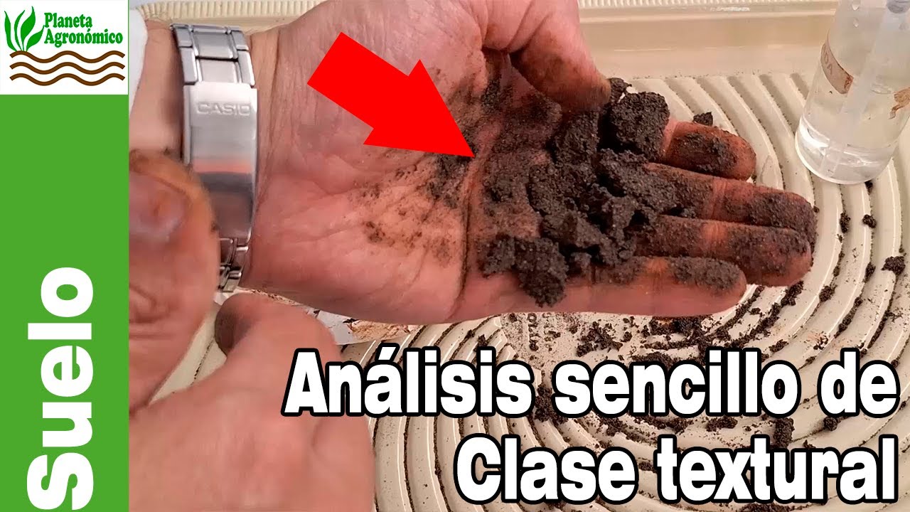 Cómo hacer un ESTUDIO CASERO DE CLASE TEXTURAL 🧪 y agronómico, y para qué nos puede servir esto