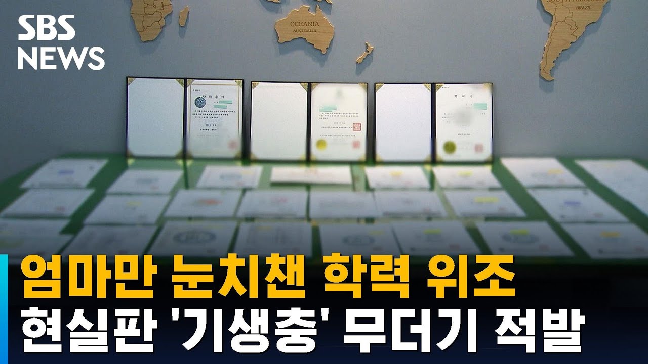 현실판 '기생충'&hellip;학력 위조해 부정 취업 무더기 적발 / SBS