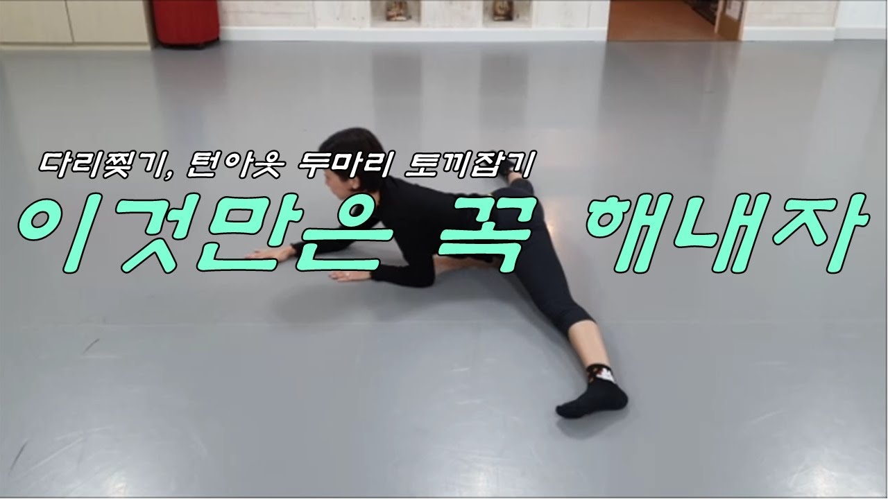 다리도 찢고 턴아웃은 덤으로 가져가세요(간단한 따라하기)
