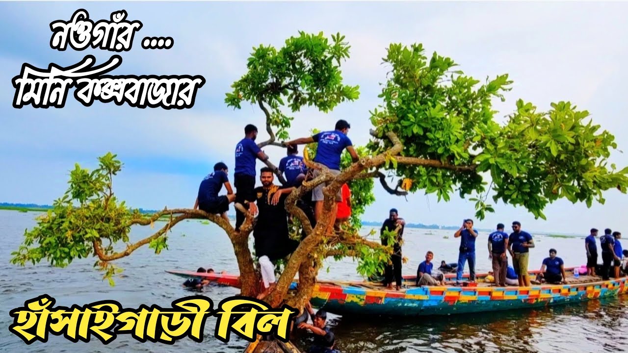 হামাকে হাঁসাইগাড়ী বিল নওগাঁ। Hasaigari bil Naogaon.