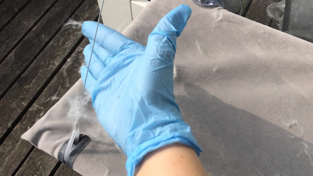 Remove cat hair with a rubber glove
