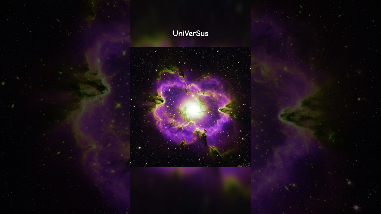 UniVerSus