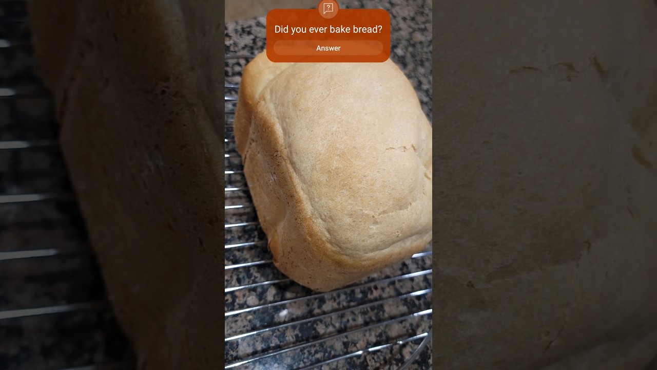 Baked fresh bread in Vevor breadmaker